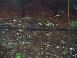 Odpadki za Šolskim centrom Šentjur